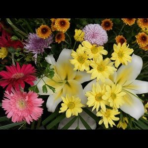 Meet your Posher, Mari-beth